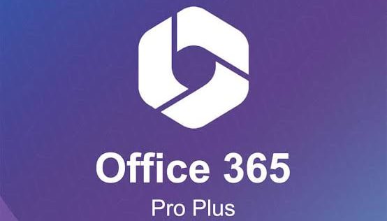 Microsoft 365 Plus 1 İllik