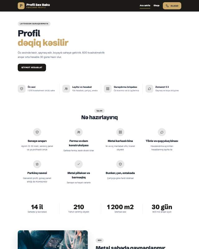 Profil istehsalı · Premium sayt dizaynının ekran görüntüsü